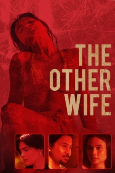 Póster de The Other Wife