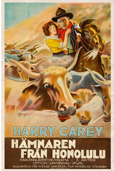 Póster de The Outlaw and the Lady