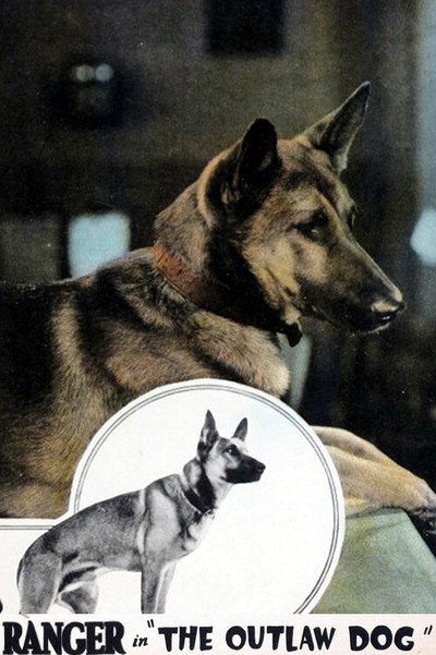 Póster de The Outlaw Dog