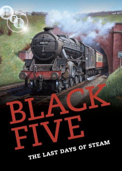Póster de The Painter and the Engines