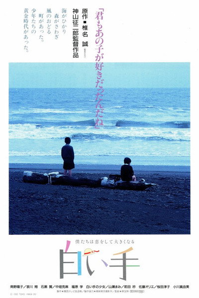 Póster de The Pale Hand