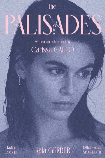 Póster de The Palisades