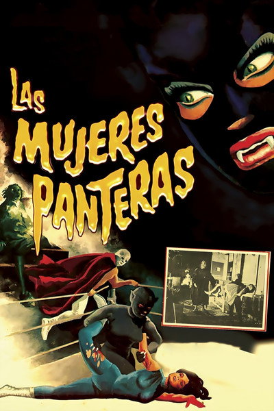 Póster de The Panther Women