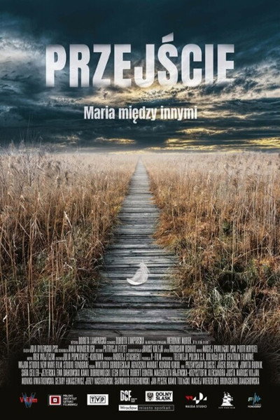 Póster de The Passage