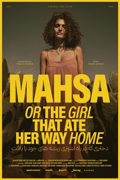 Póster de The Passage