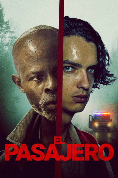 Póster de The Passenger