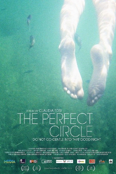 Póster de The Perfect Circle