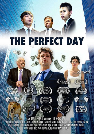 Póster de THE PERFECT DAY