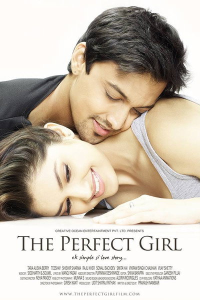 Póster de The Perfect Girl