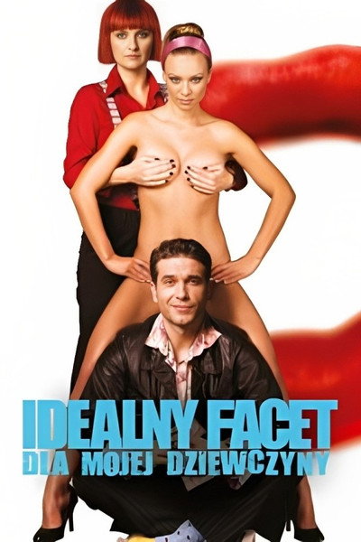 Póster de The Perfect Guy for My Girlfriend