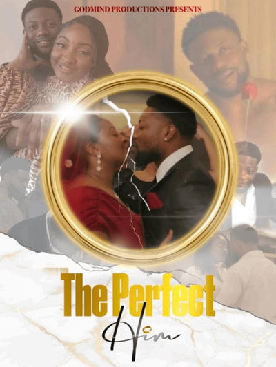 Póster de The Perfect Him