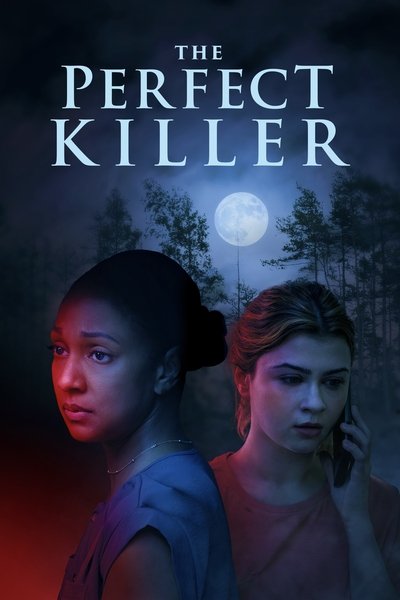 Póster de The Perfect Killer