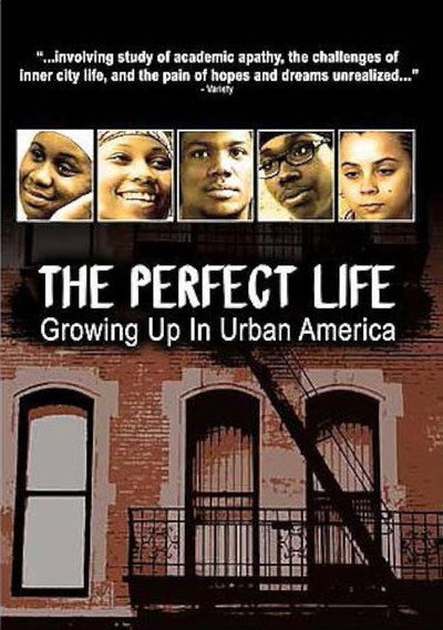 Póster de The Perfect Life