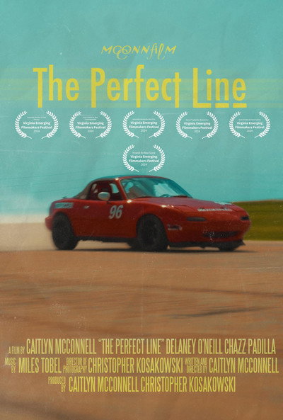 Póster de The Perfect Line