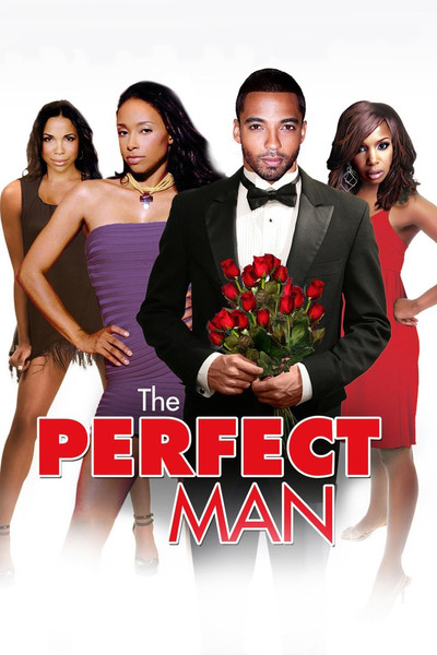 Póster de The Perfect Man