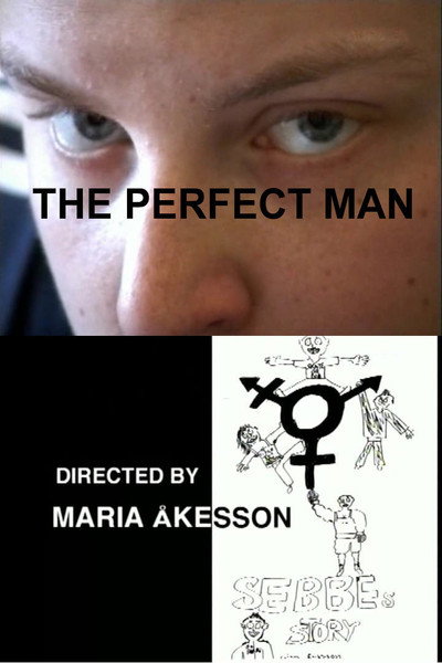Póster de The Perfect Man