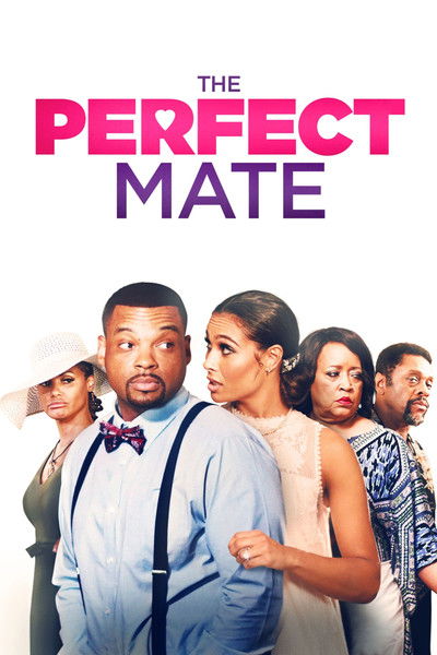 Póster de The Perfect Mate
