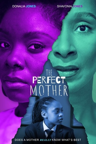Póster de The Perfect Mother