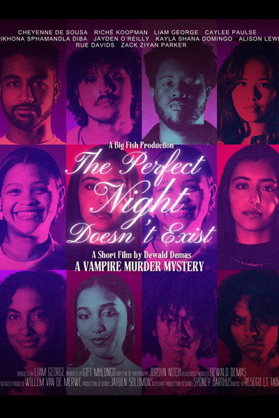 Póster de The Perfect Night Doesn't Exist