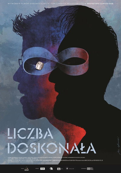 Póster de The Perfect Number