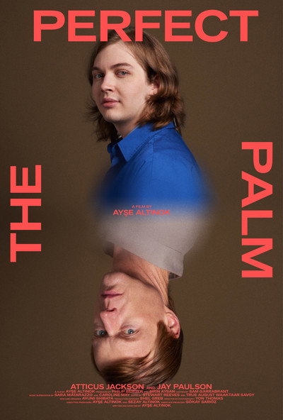 Póster de The Perfect Palm