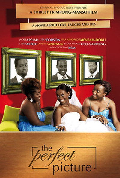 Póster de The Perfect Picture