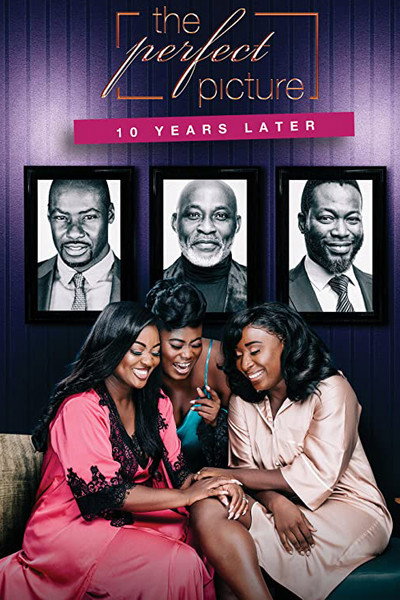 Póster de The Perfect Picture: Ten Years Later