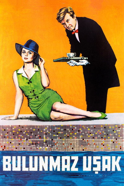 Póster de The Perfect Servant