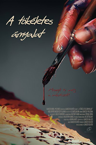 Póster de The Perfect Shade