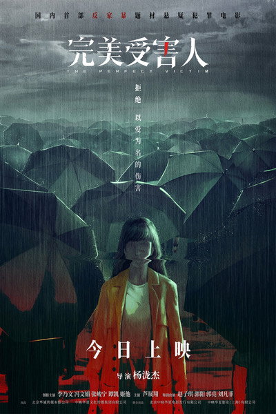 Póster de The Perfect Victim