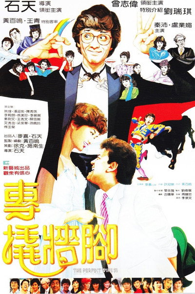 Póster de The Perfect Wife