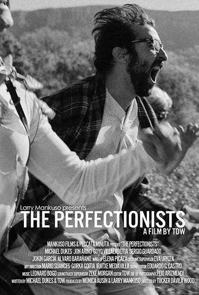 Póster de The Perfectionists