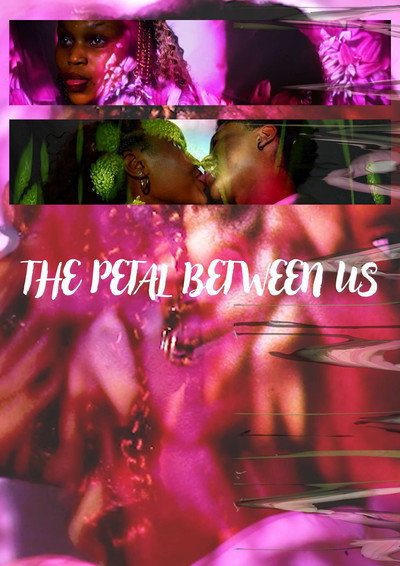 Póster de The Petal Between Us