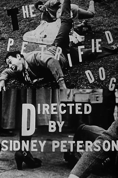 Póster de The Petrified Dog