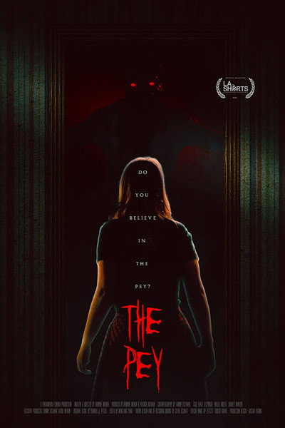 Póster de The Pey