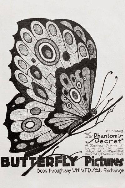 Póster de The Phantom's Secret