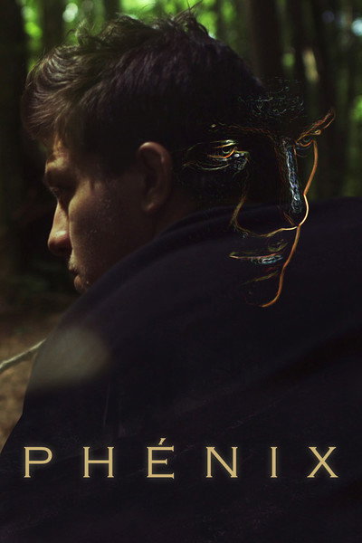 Póster de The Phoenix