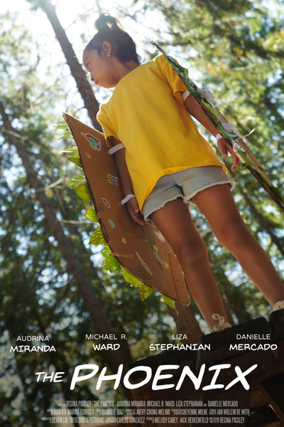 Póster de The Phoenix
