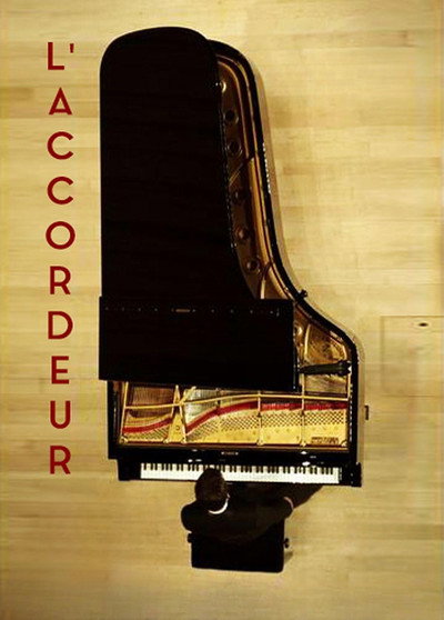 Póster de The Piano Tuner