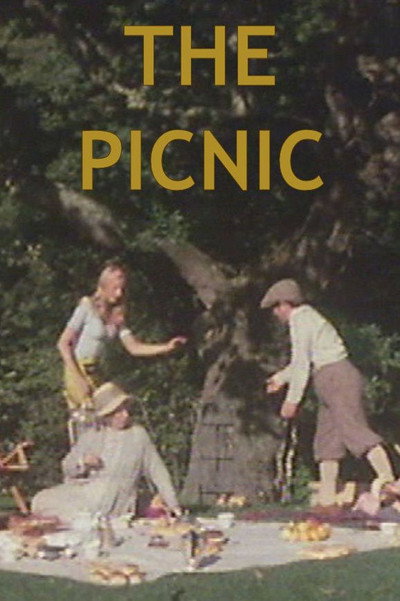 Póster de The Picnic