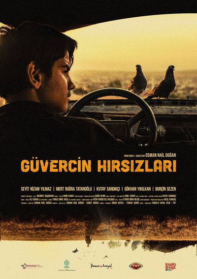 Póster de The Pigeon Thieves