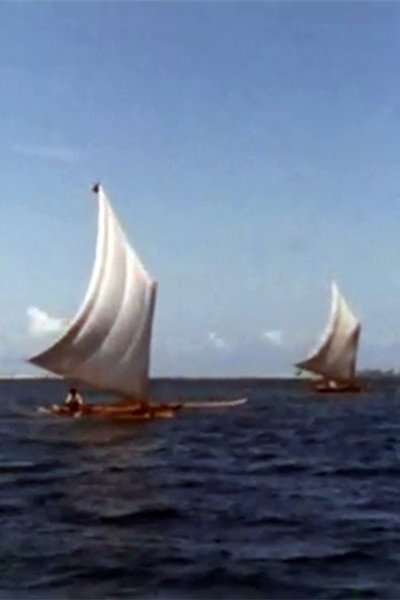 Póster de The Pirates of Buban