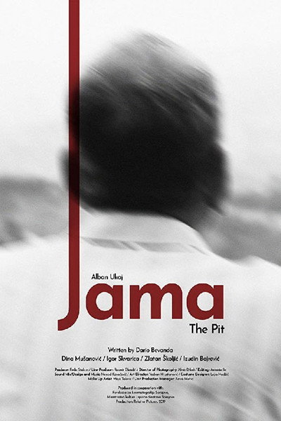 Póster de The Pit