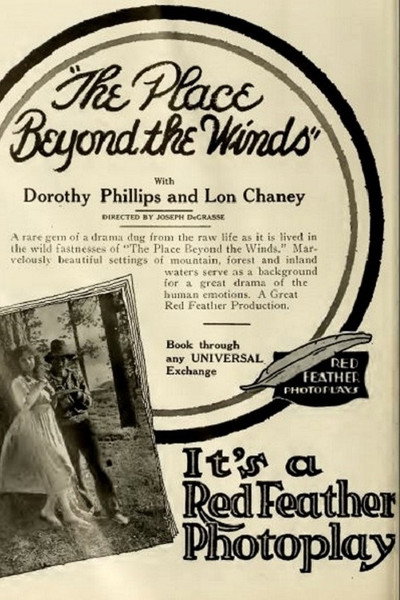 Póster de The Place Beyond the Winds