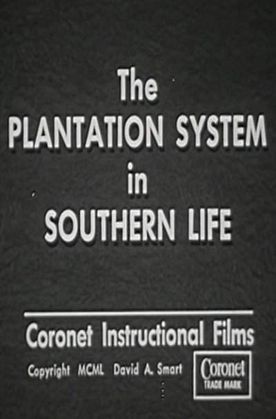 Póster de The Plantation System in Southern Life