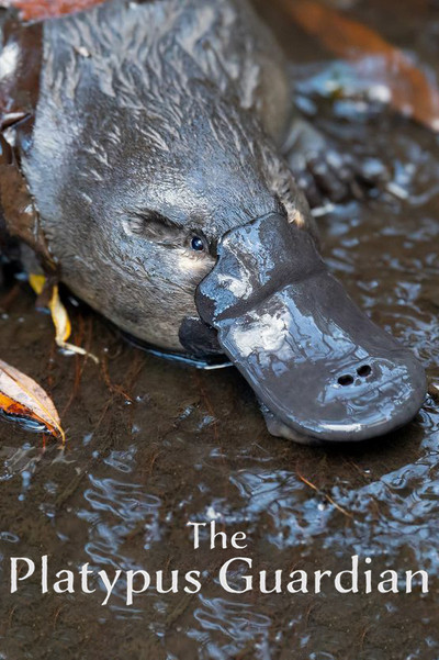 Póster de The Platypus Guardian