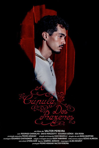 Póster de The Pleasure Dome