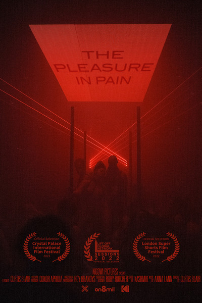 Póster de The Pleasure in Pain