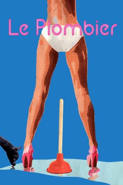 Póster de The Plumber