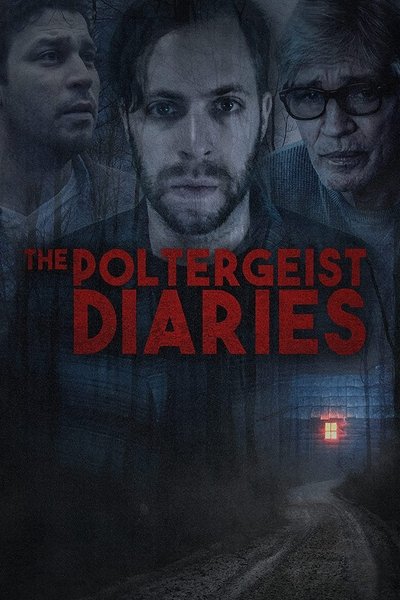 Póster de The Poltergeist Diaries